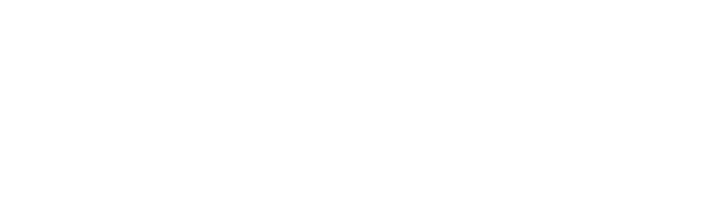 Southern Trading Solutions